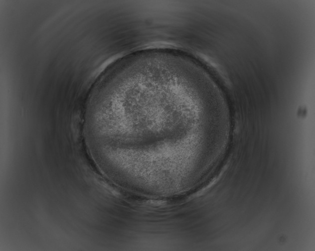 X0000091361313200708311456
