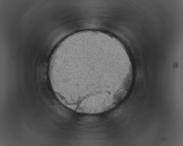 X0000091361314200708311456