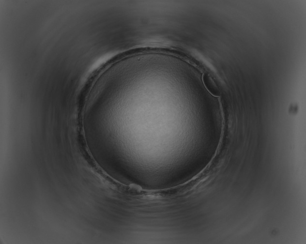 X0000091361315200708311456