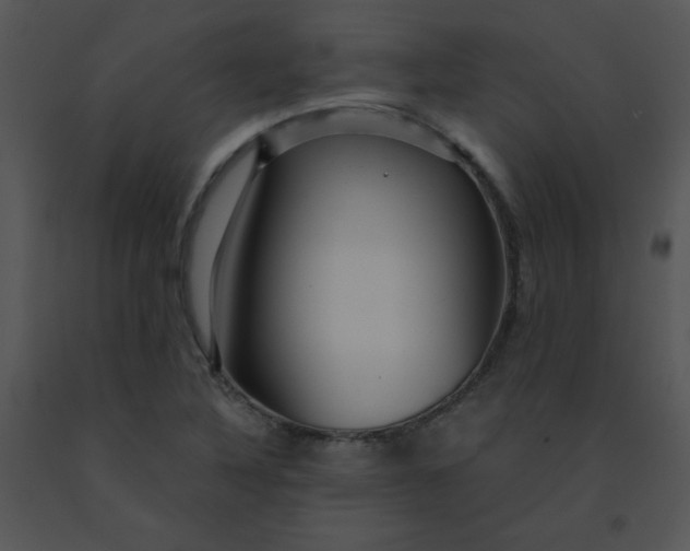X0000091361316200708311456