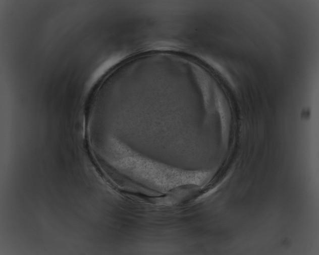 X0000091361317200708311456