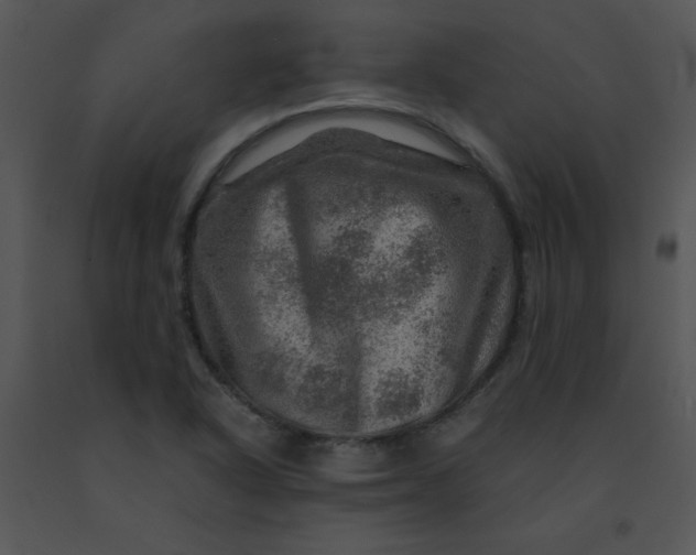 X0000091361318200708311456