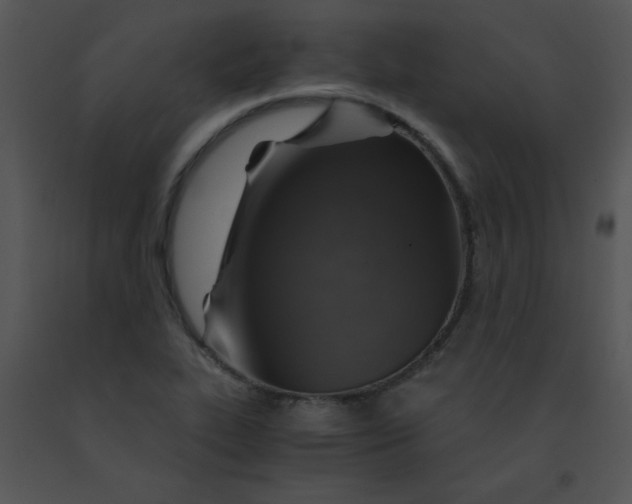 X0000091361319200708311456