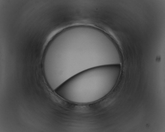 X0000091361320200708311456