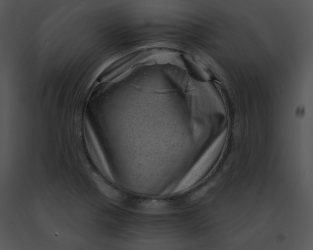X0000091361321200708311456