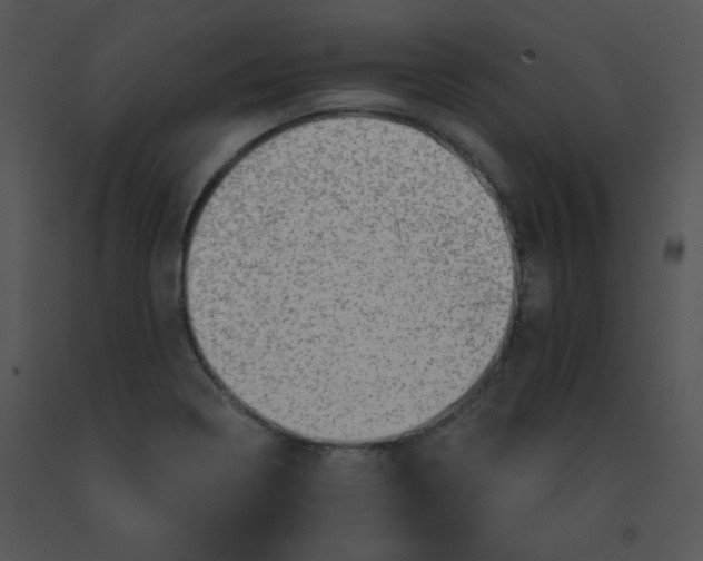 X0000091361322200708311456