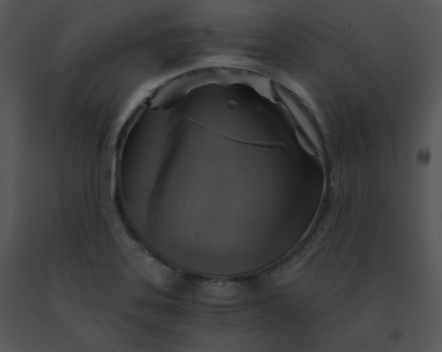 X0000091361323200708311456