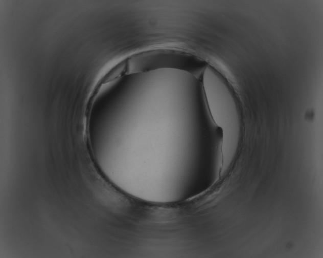 X0000091361324200708311457