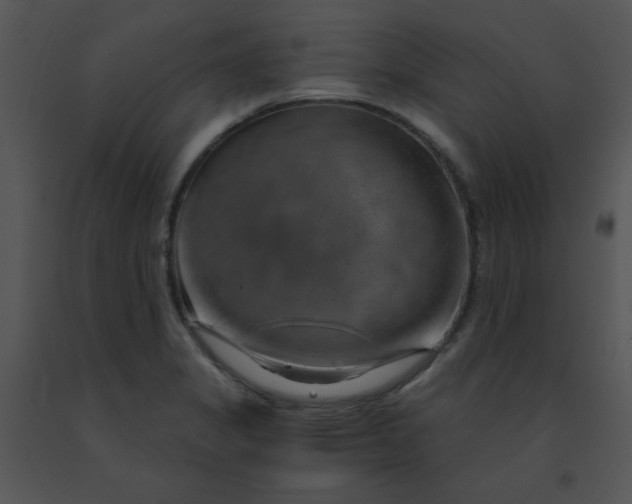 X0000091361325200708311457