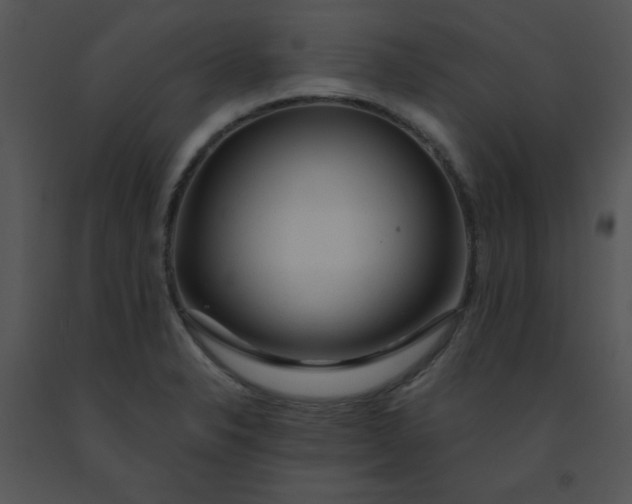 X0000091361326200708311457