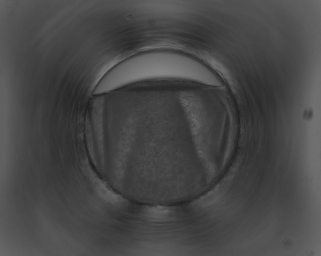X0000091361329200708311457