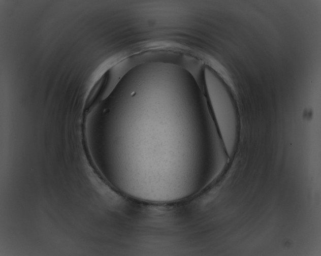 X0000091361330200708311457