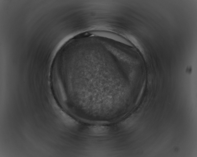 X0000091361331200708311457