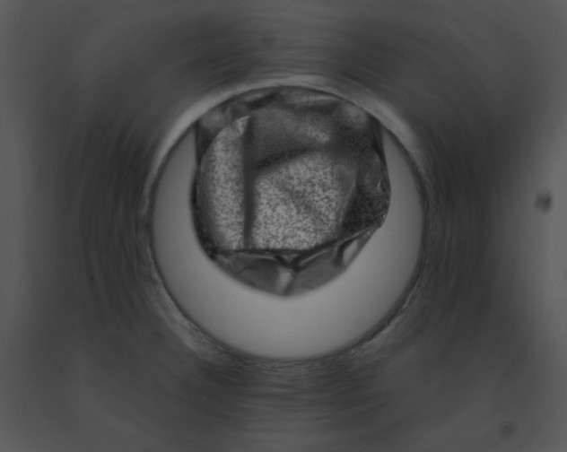 X0000091361332200708311457