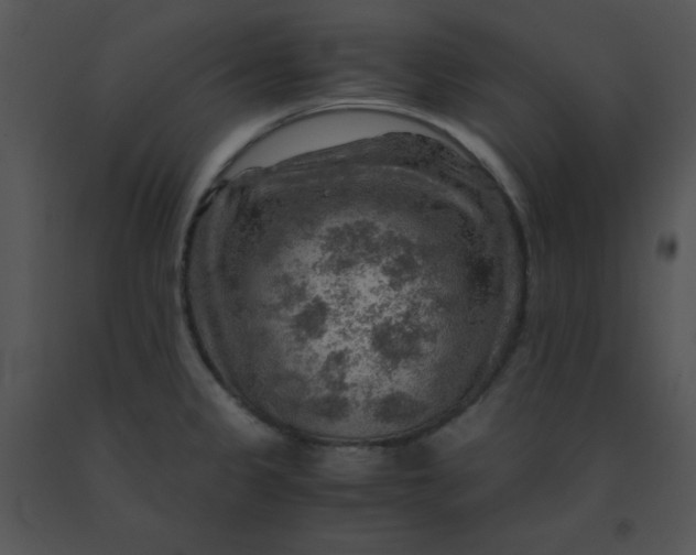 X0000091361333200708311457