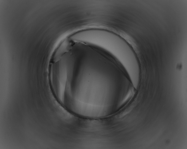 X0000091361334200708311457