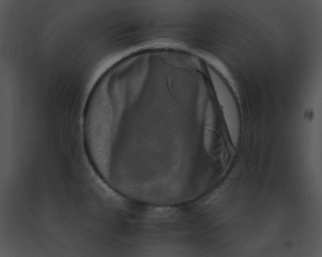 X0000091361335200708311457