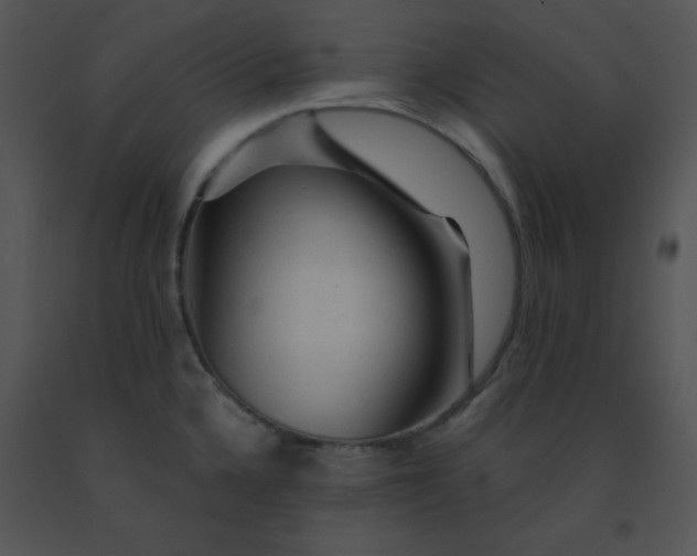 X0000091361336200708311457