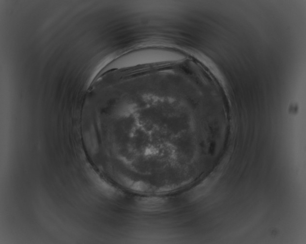 X0000091361337200708311457