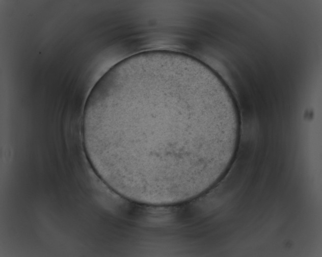 X0000091361338200708311457