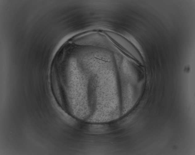 X0000091361339200708311457