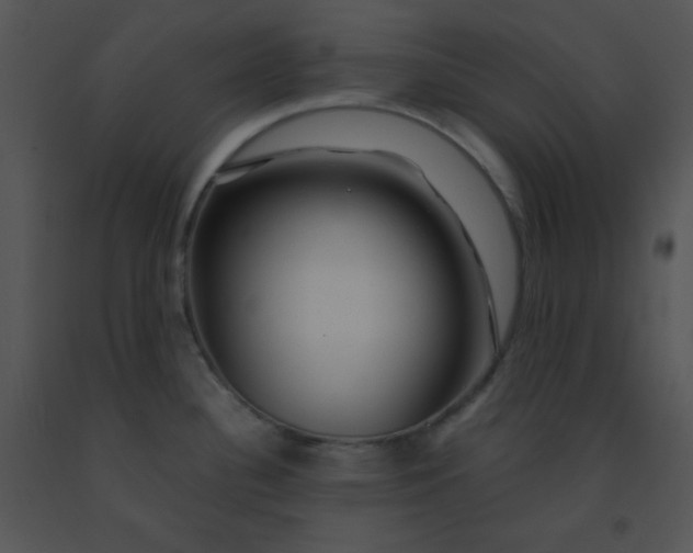 X0000091361340200708311457