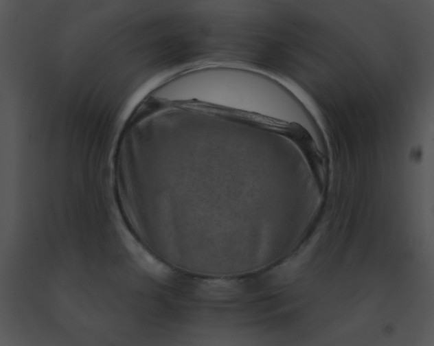 X0000091361341200708311457