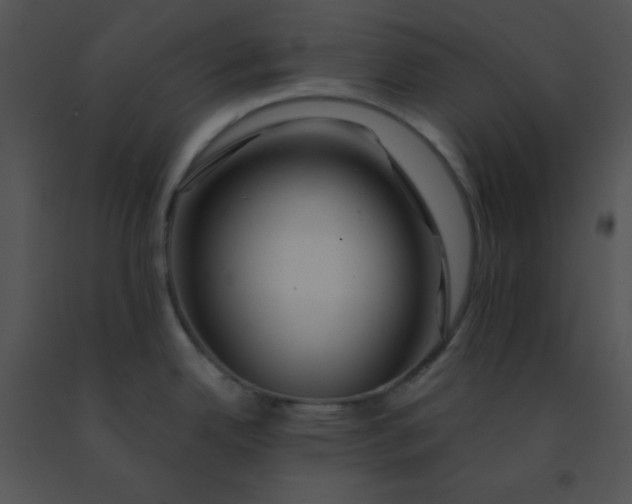 X0000091361342200708311457
