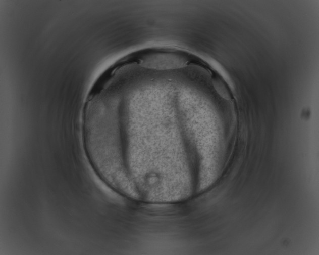 X0000091361343200708311457
