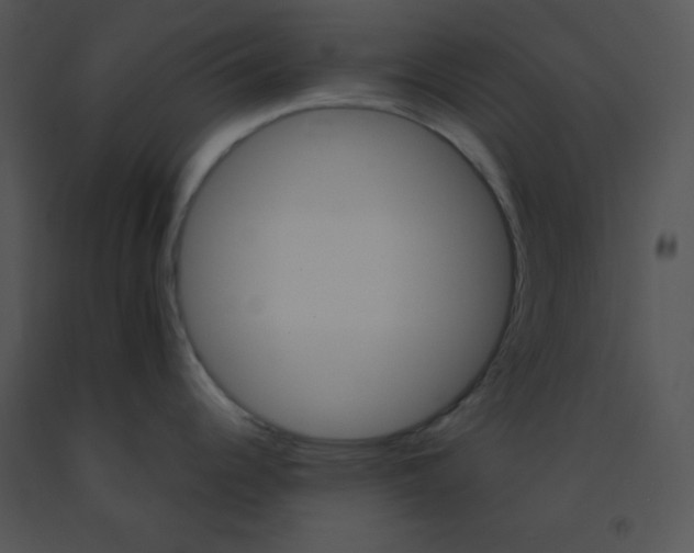 X0000091361344200708311457