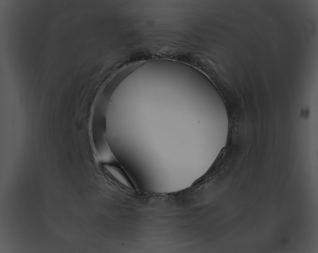 X0000091361345200708311456