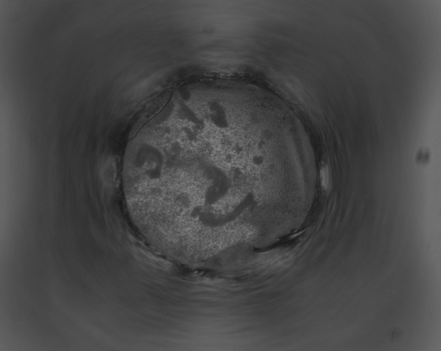 X0000091361347200708311456