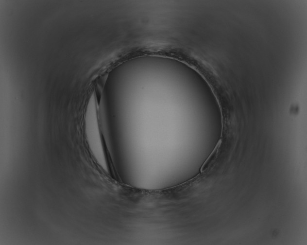 X0000091361349200708311456
