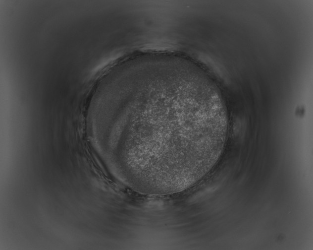 X0000091361350200708311456
