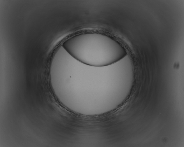 X0000091361352200708311456