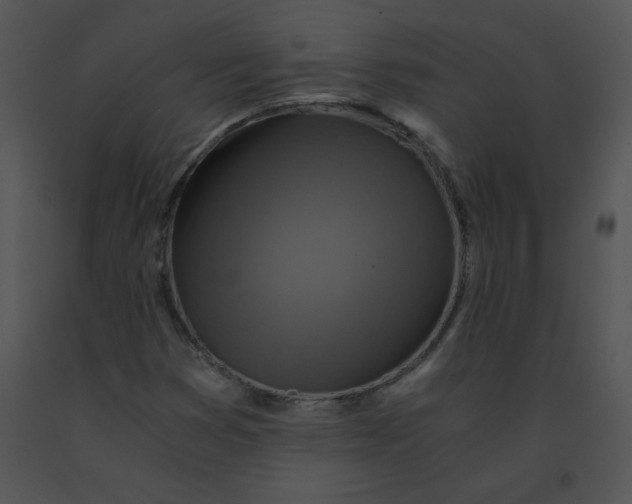 X0000091361353200708311456