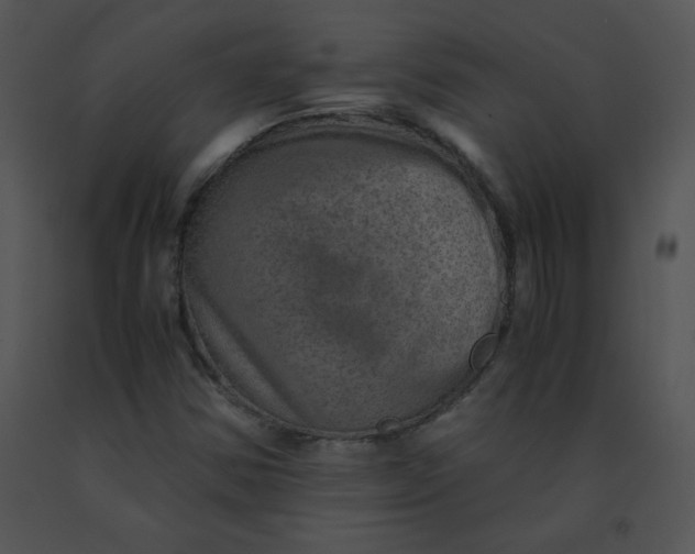 X0000091361354200708311456