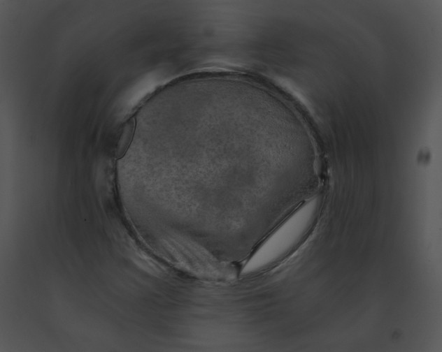 X0000091361355200708311456
