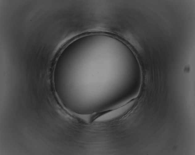 X0000091361356200708311456