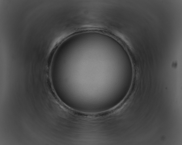 X0000091361357200708311456