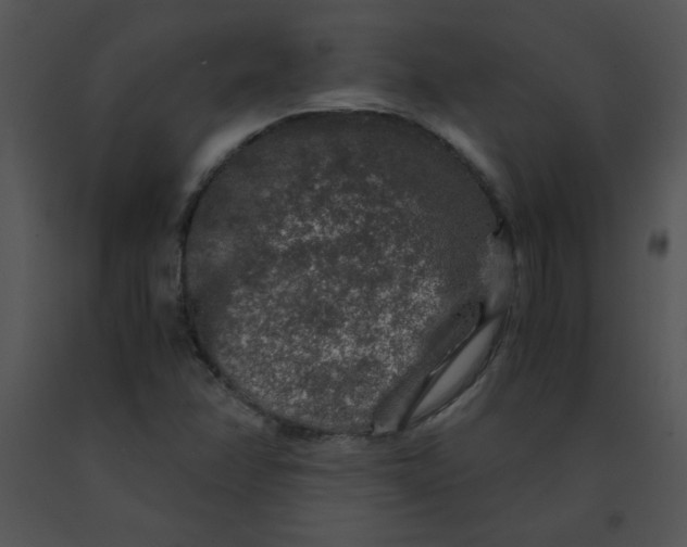 X0000091361358200708311456