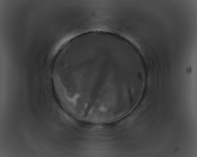 X0000091361359200708311456