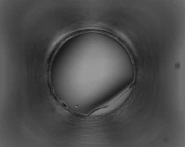 X0000091361360200708311456