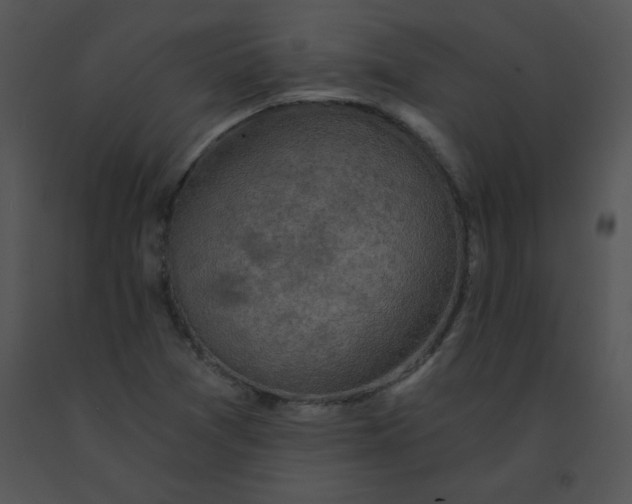 X0000091361361200708311456