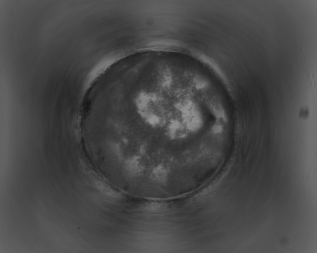 X0000091361362200708311456