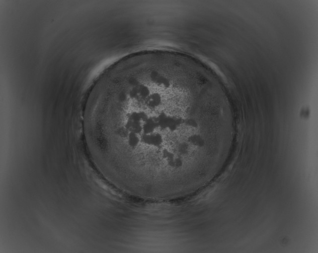 X0000091361363200708311456