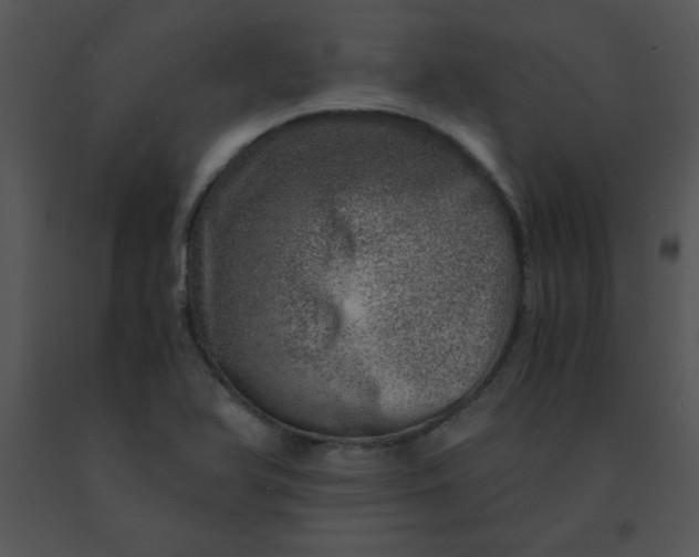 X0000091361366200708311456