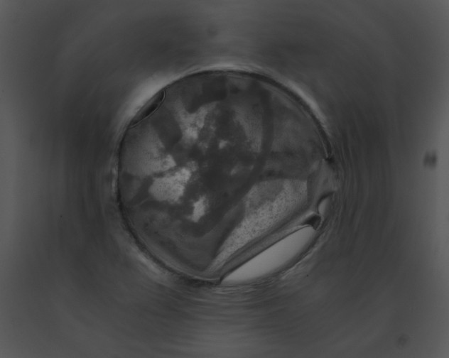 X0000091361367200708311456