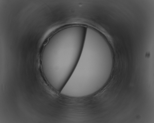 X0000091361368200708311456