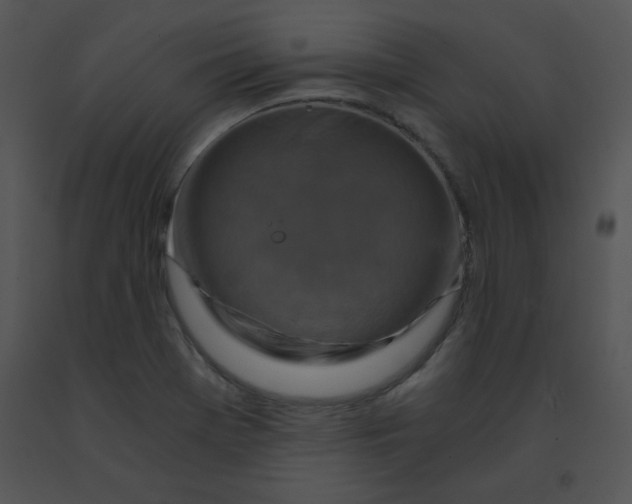 X0000091361369200708311456